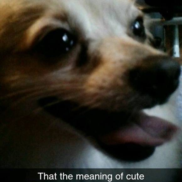 Meet your Posher, Alicia - Picture 1 of 1